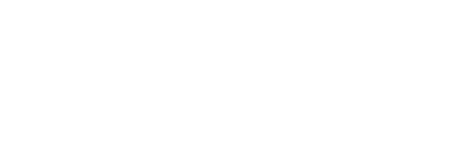Luce Digital